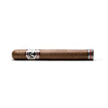 Aladino Fuma Noche Super Toro