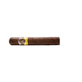 Aladino Maduro Box-Pressed Robusto