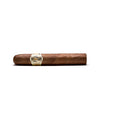 Avo Classic Robusto