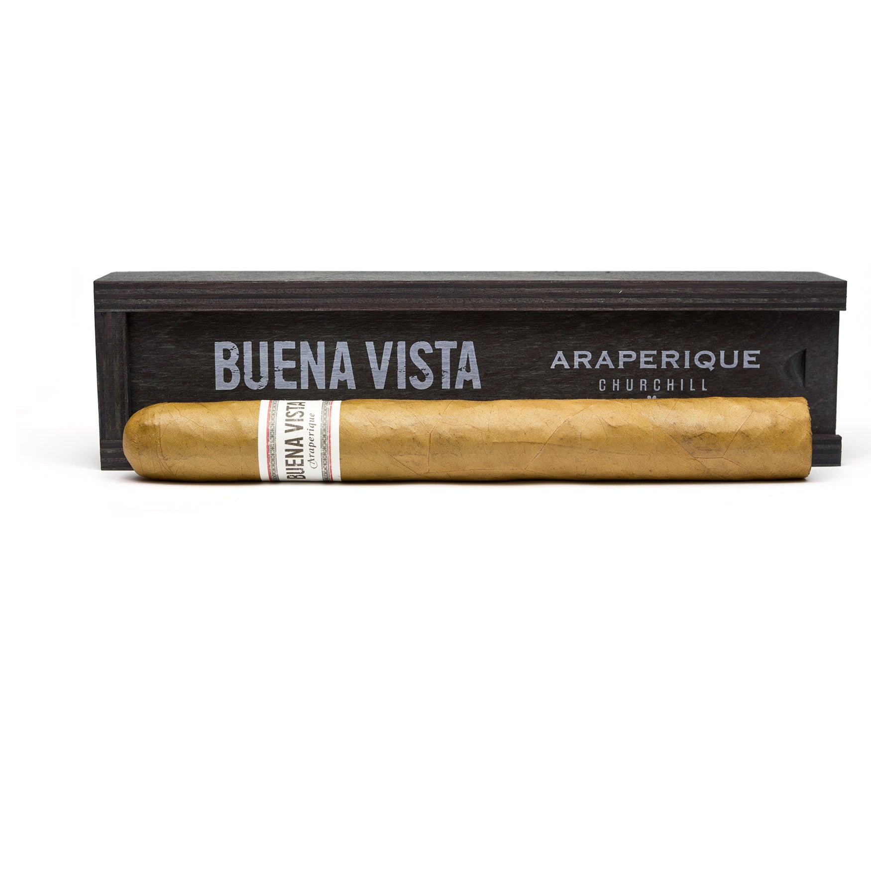 Buena Vista Araperique Churchill
