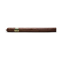 Casdagli Daughters of the Wind Lancero Cremello
