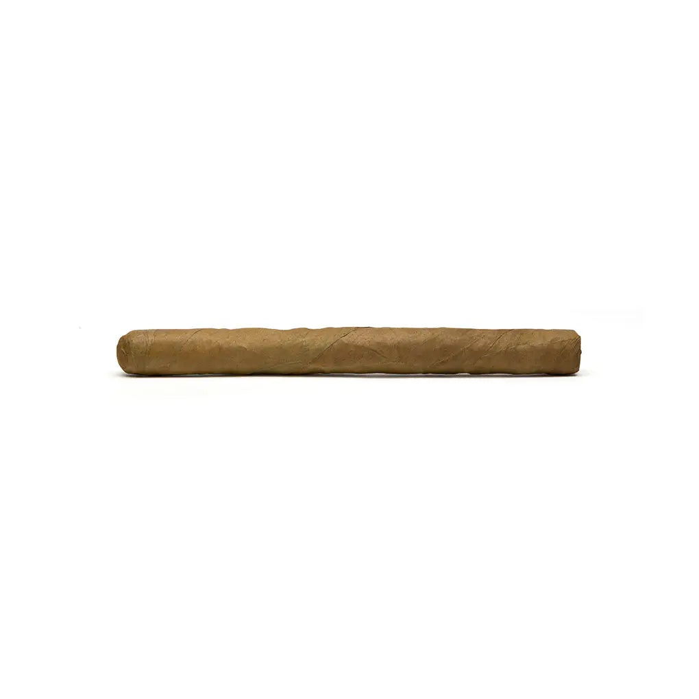 Cusano Bundle Selection Petit Panatela