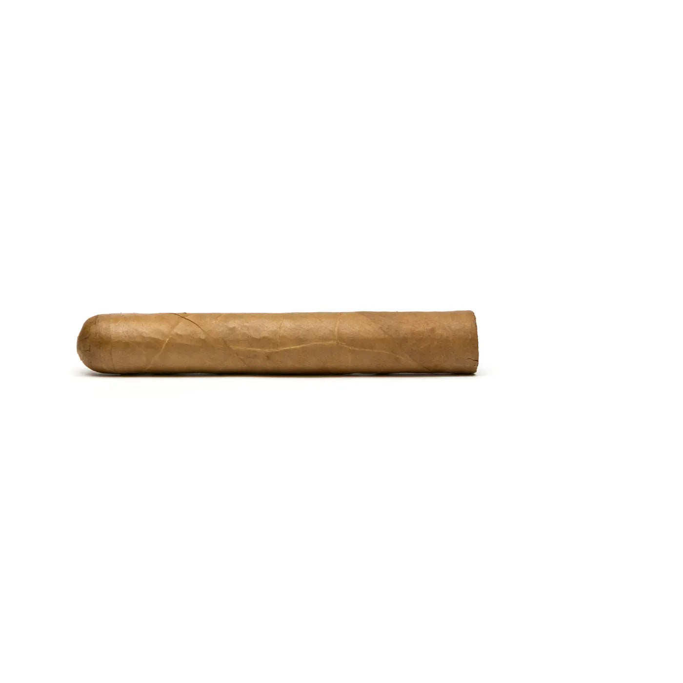 Cusano Bundle Selection Robusto