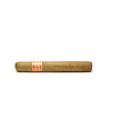 Dominican Estates Petit Corona