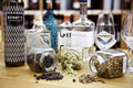 Gin Verkostung Leipzig
