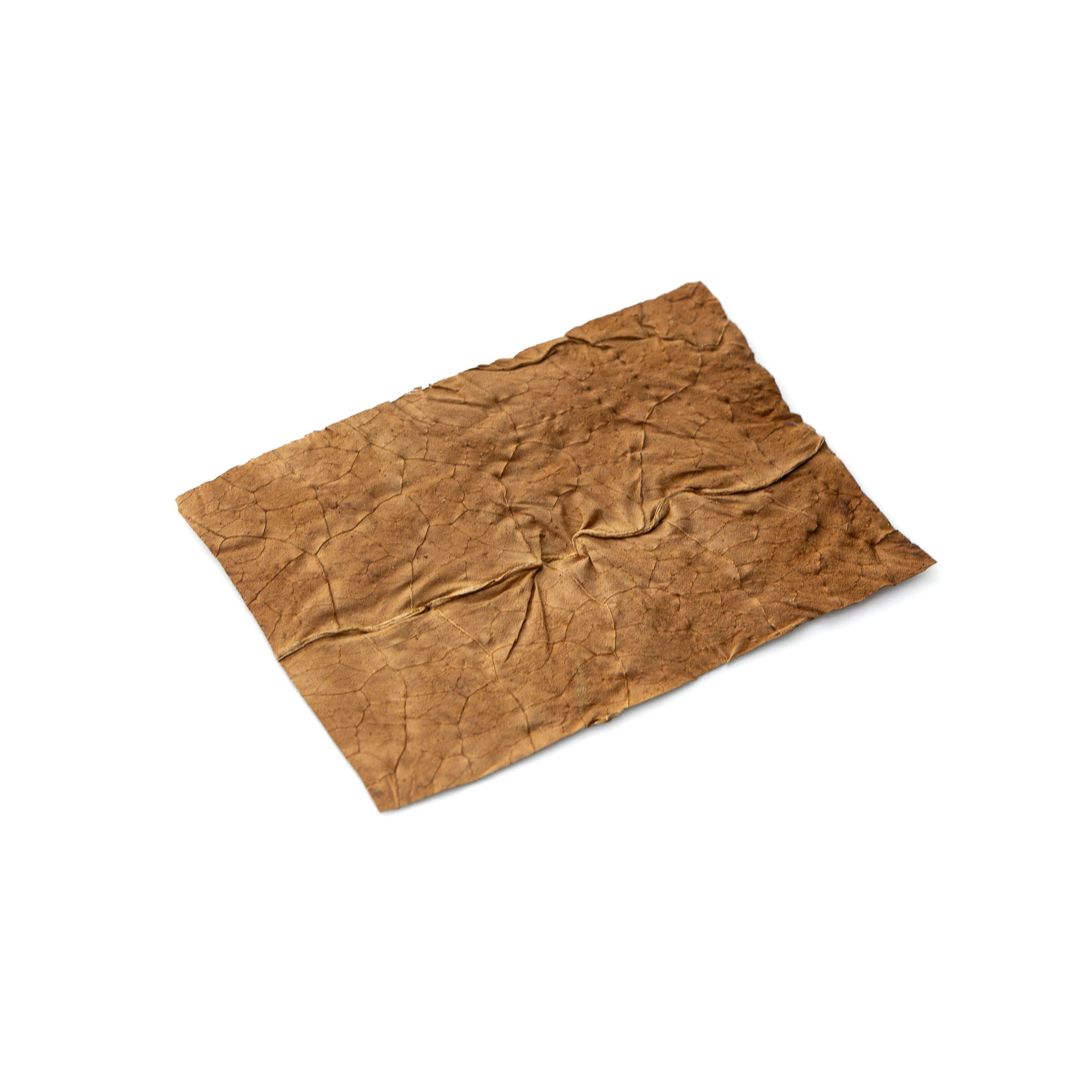 Kentucky Leaf Cuts