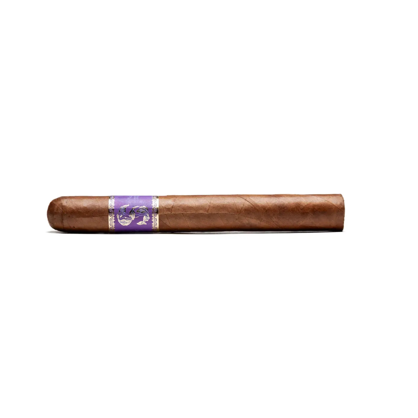 Matilde Limited Exposure No. 2 2022 Toro