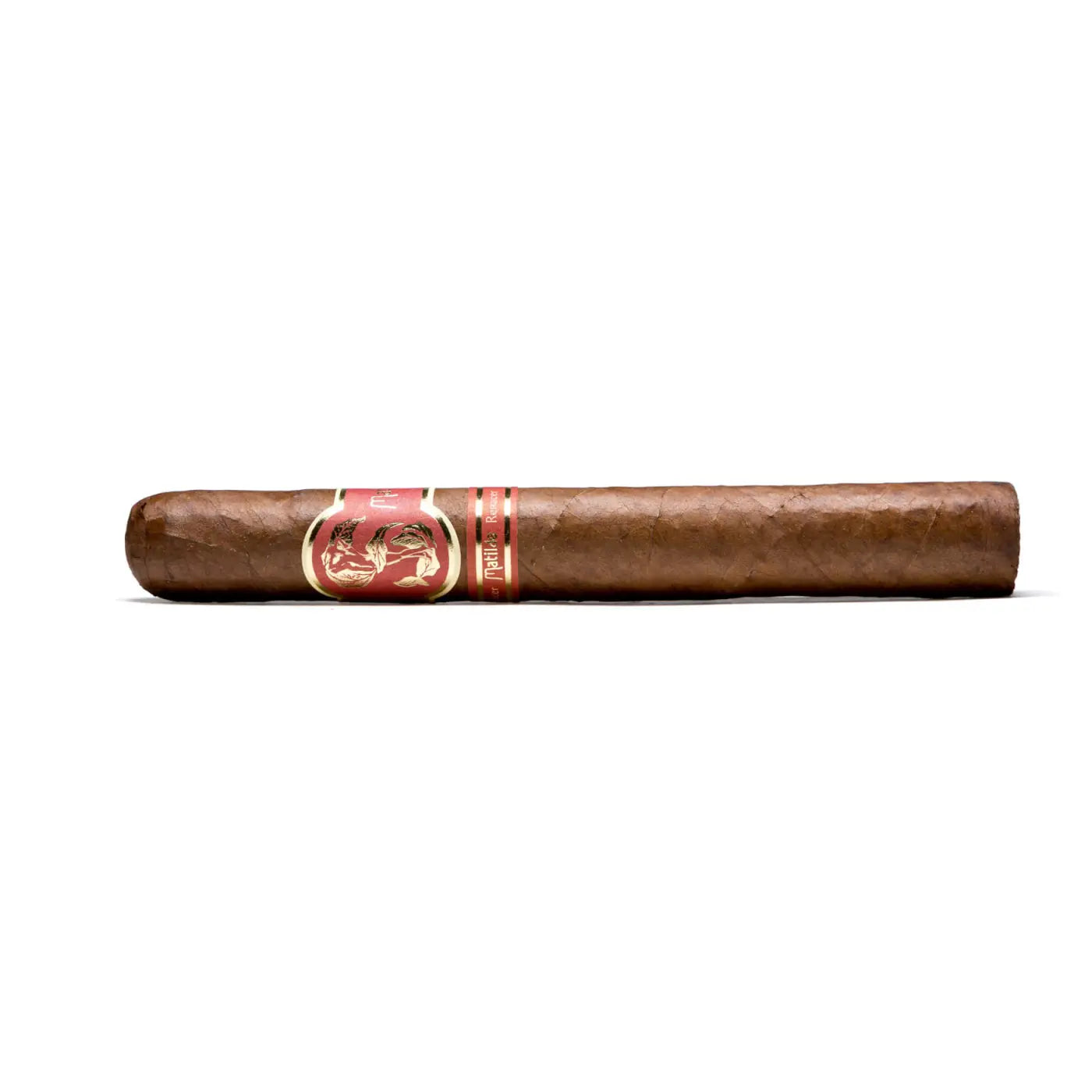 Matilde Renacer Toro Bravo