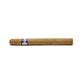 Mustique Blue Lonsdale