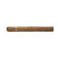 Padrón Classic Churchill – boxpressed Großformat