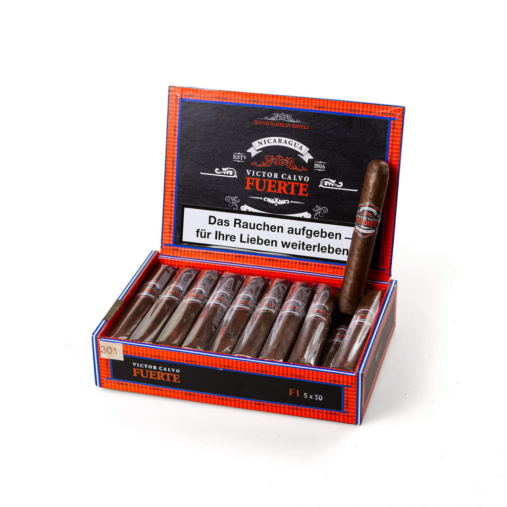 Victor Calvo Fuerte F1