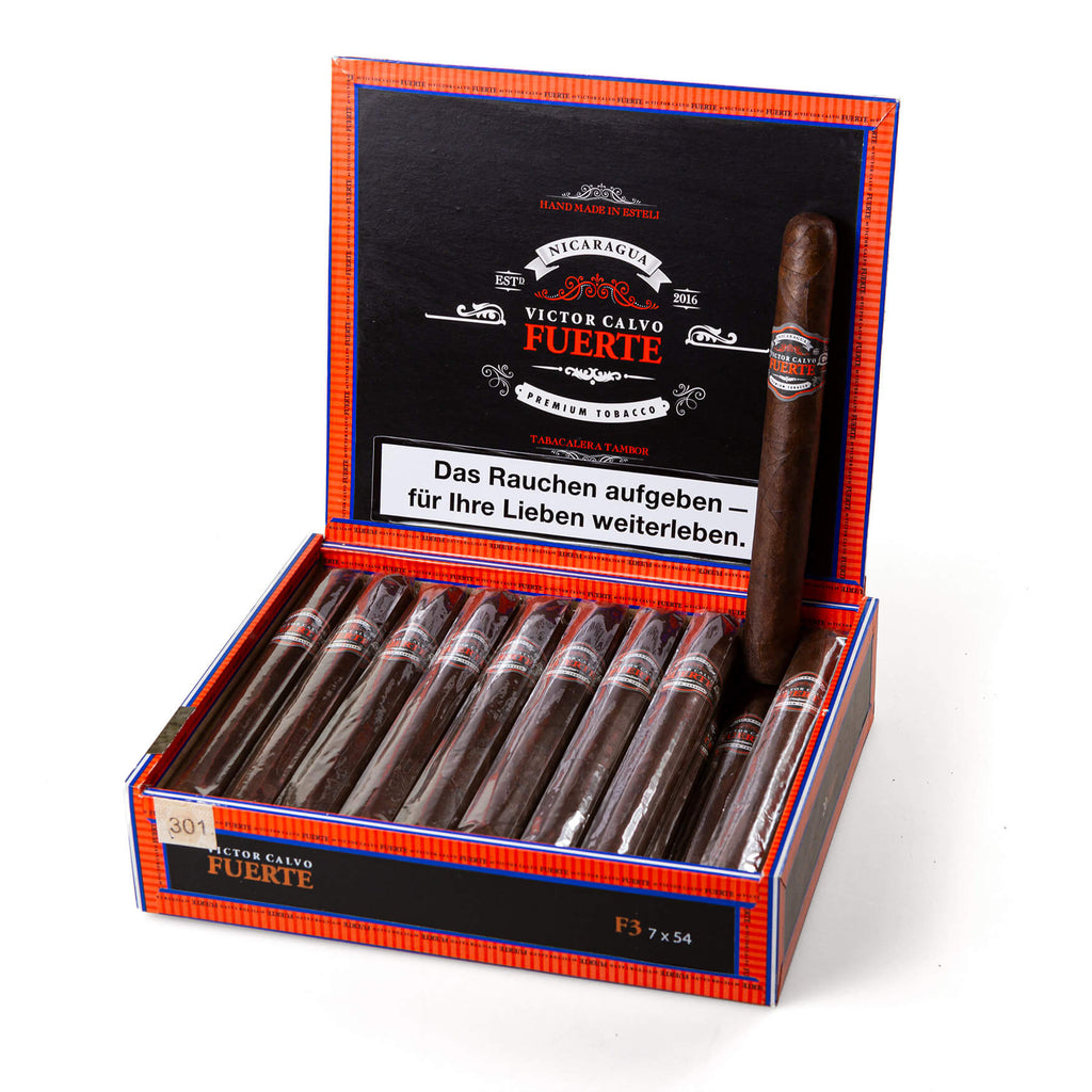 Victor Calvo Fuerte F3