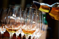 Whisky Verkostung Leipzig